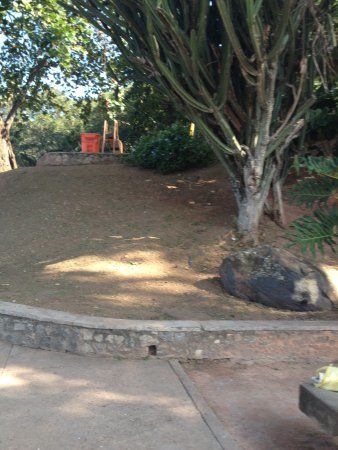 Marcello de Ipanema Park